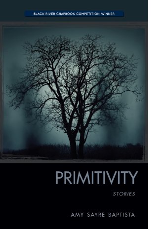 Primitivity