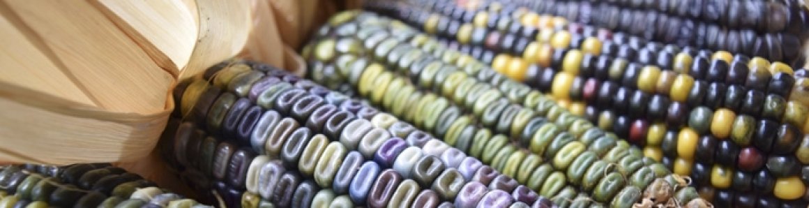 Local Food, Strong Farms, Healthy Communities
