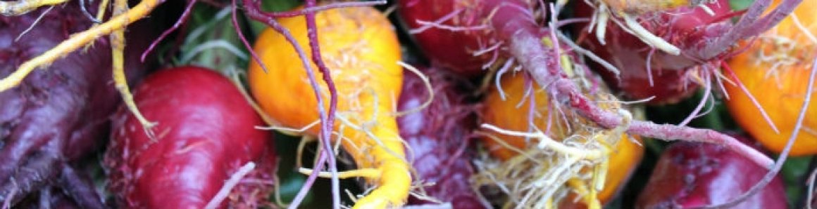 Local Food, Strong Farms, Healthy Communities