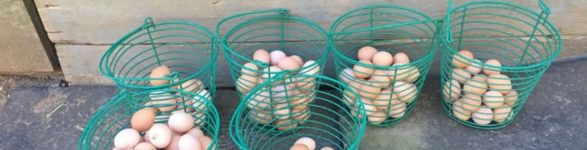 Local Food, Strong Farms, Healthy Communities