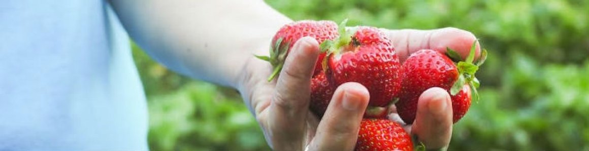 Local Food, Strong Farms, Healthy Communities