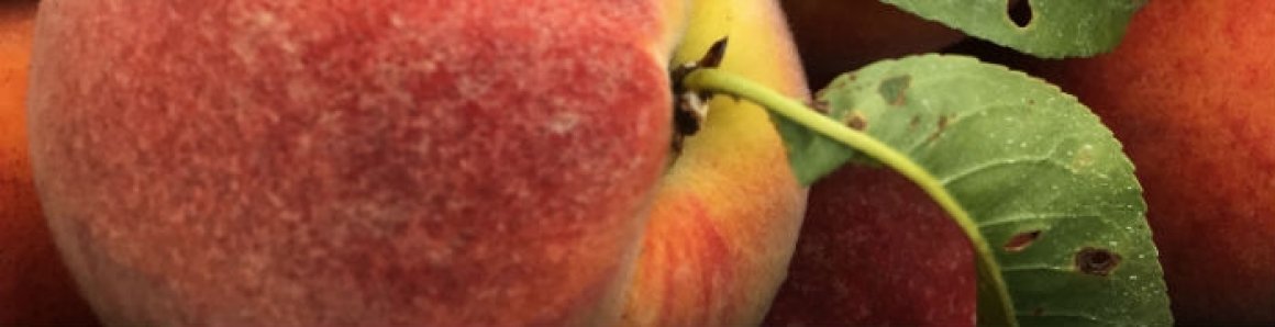 Local Food, Strong Farms, Healthy Communities