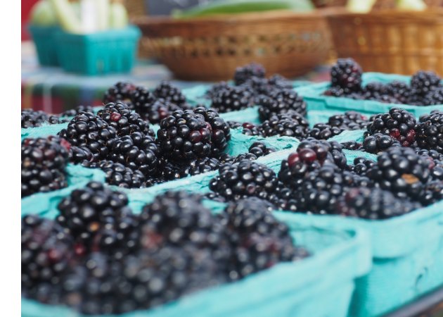 Blackberry Vinaigrette Salad