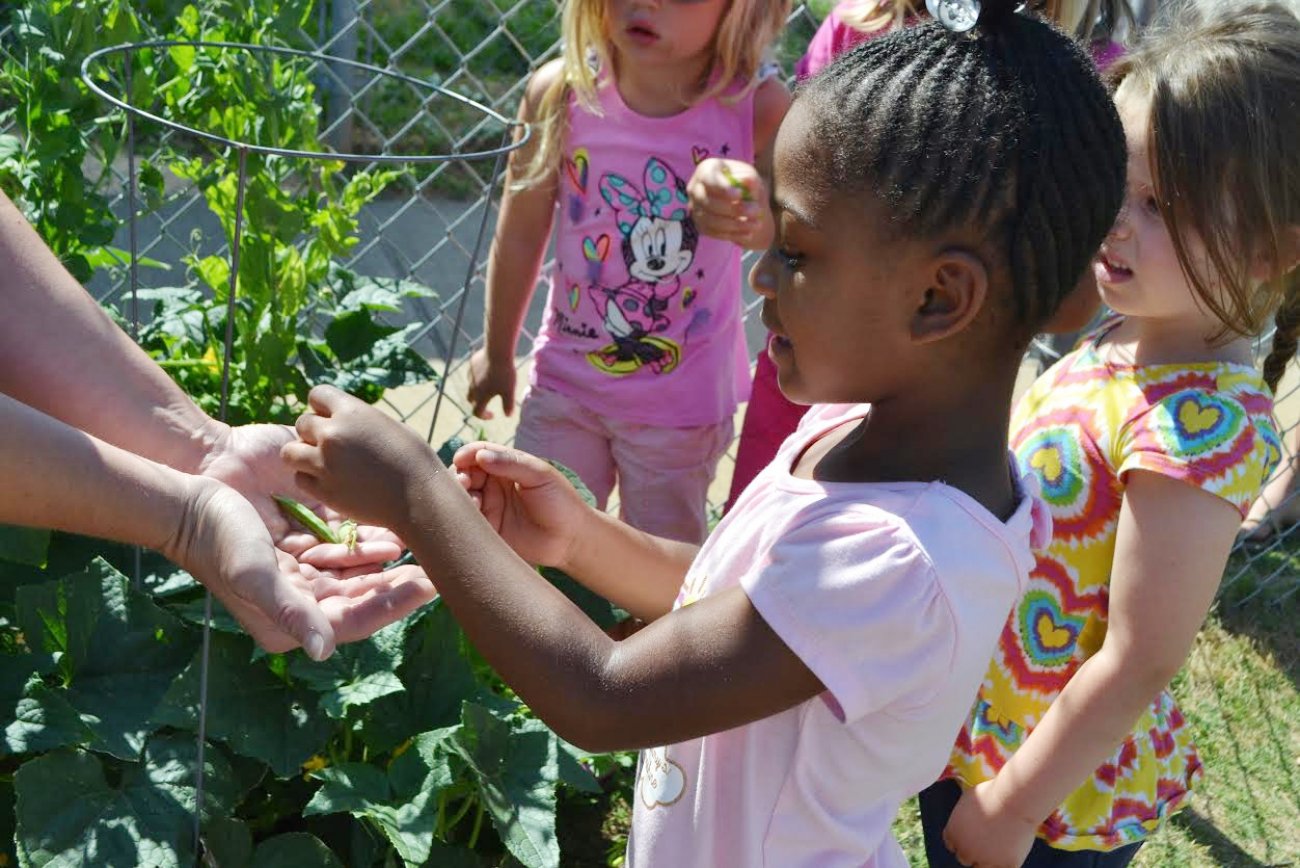 Kids in the garden
