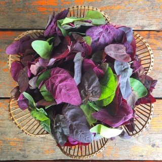 Orach mix from Mountain Food Products