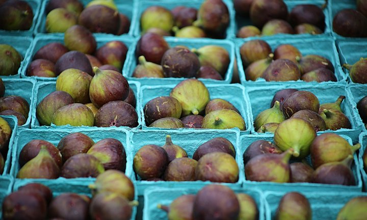 figs
