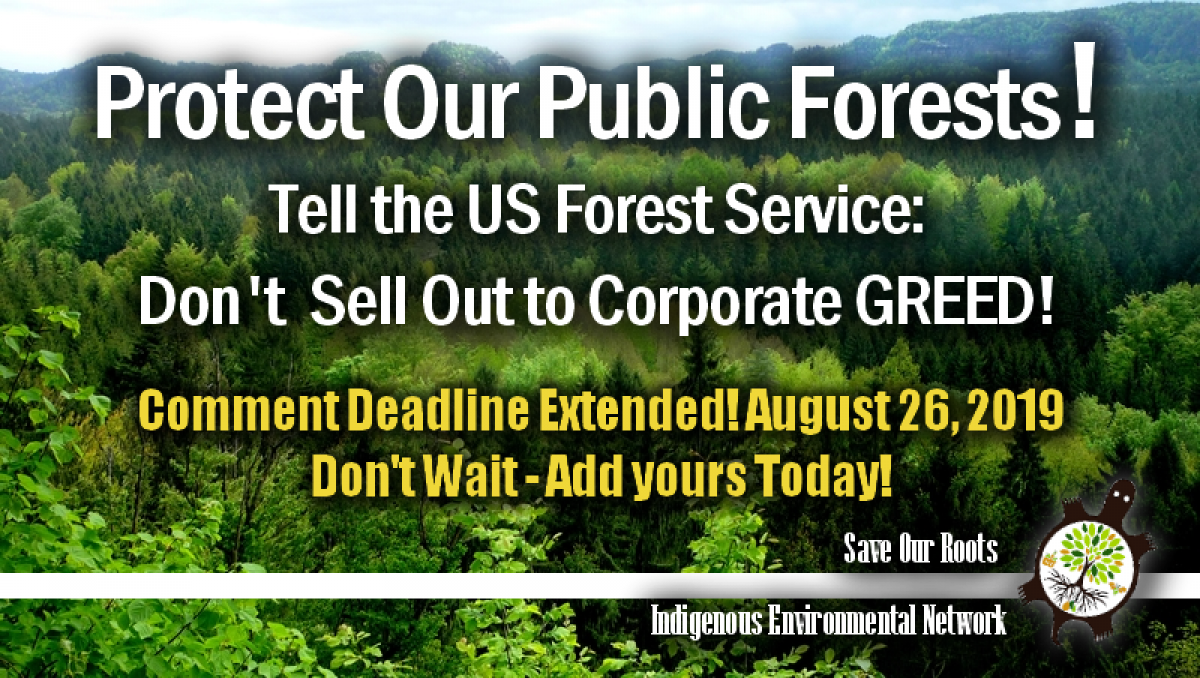 Protect Our Public Lands