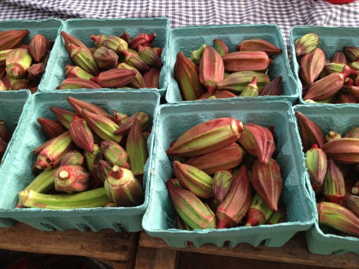 okra from Ten Mile Farm