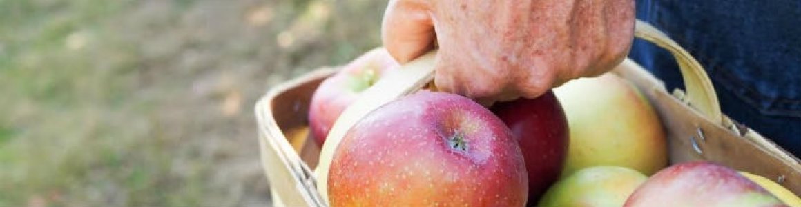 Local Food, Strong Farms, Healthy Communities