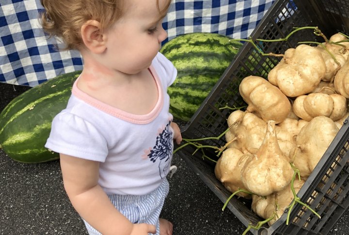 Jicama from Lee's One Fortune Farm at East Asheville Tailgate Market