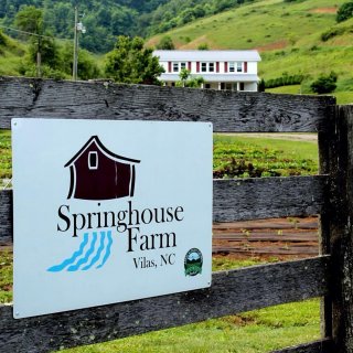 Springhouse Farm