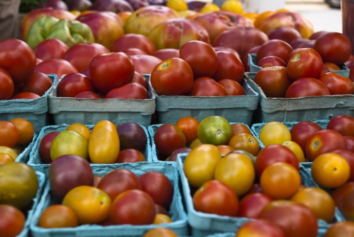 tomatoes