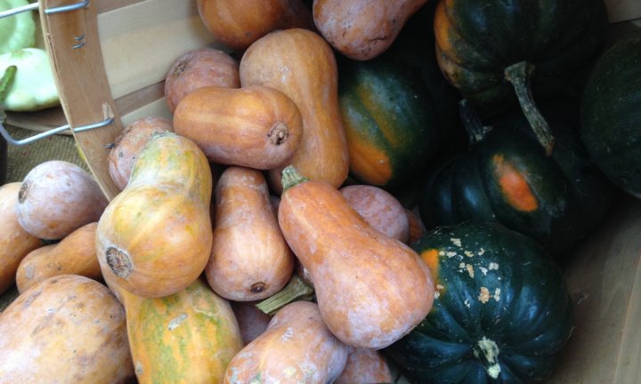honeynut and acorn squash