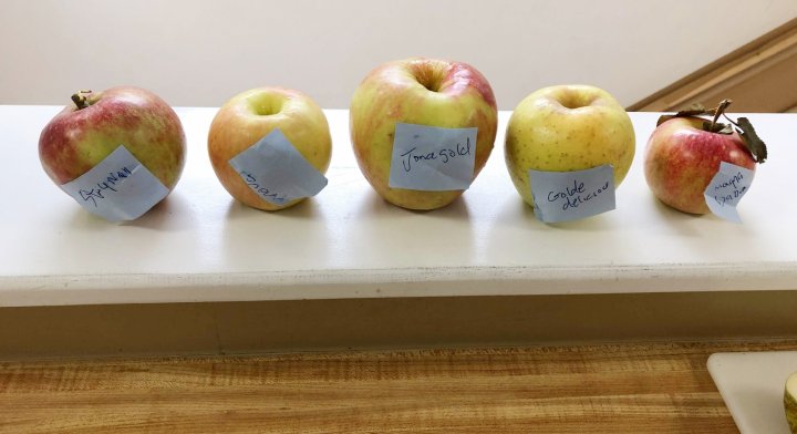 apple taste test