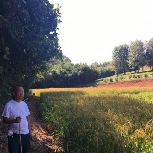 Tou Lee of Lee's One Fortune Farm