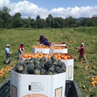 Beacon Village Farm