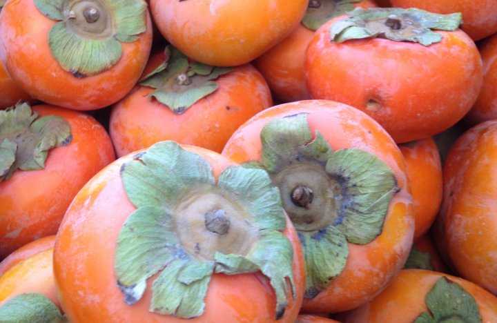 persimmons from Lee's One Fortune Farm