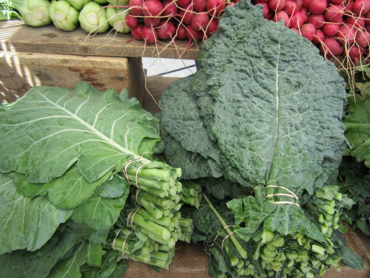 collard greens, kale, radishes, and bok choy