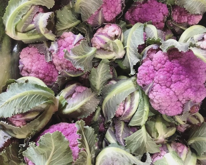 Purple cauliflower from Ten Mile Farm