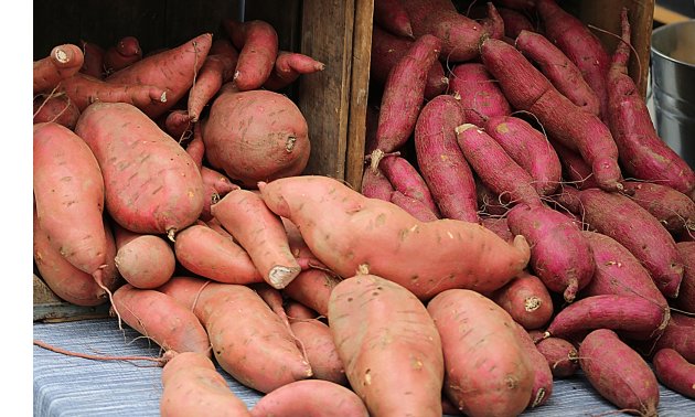 sweet potatoes