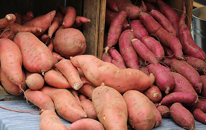 sweet potatoes from Ten Mile Farm
