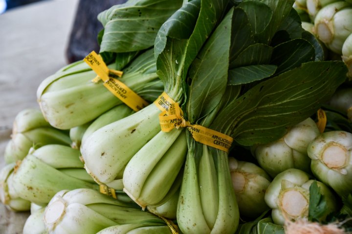 bok choy