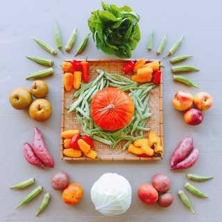 A CSA share from Mountain Food Products