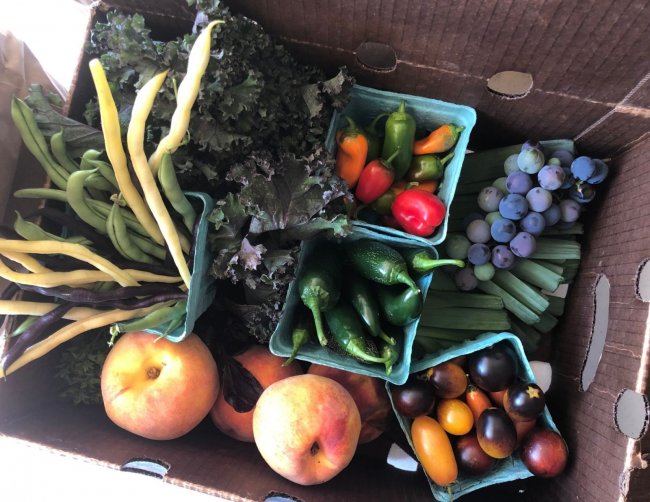 CSA box from Bearwallow Family Farm