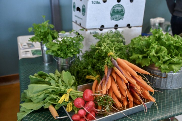 radish carrots lettuce CSA