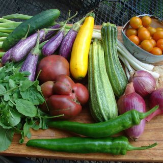 A summer CSA share