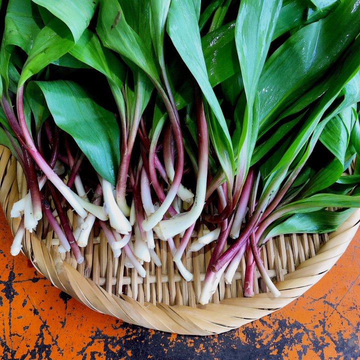 ramps