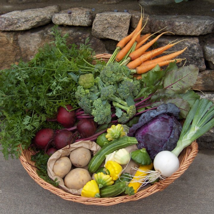 Appalachian Grown product