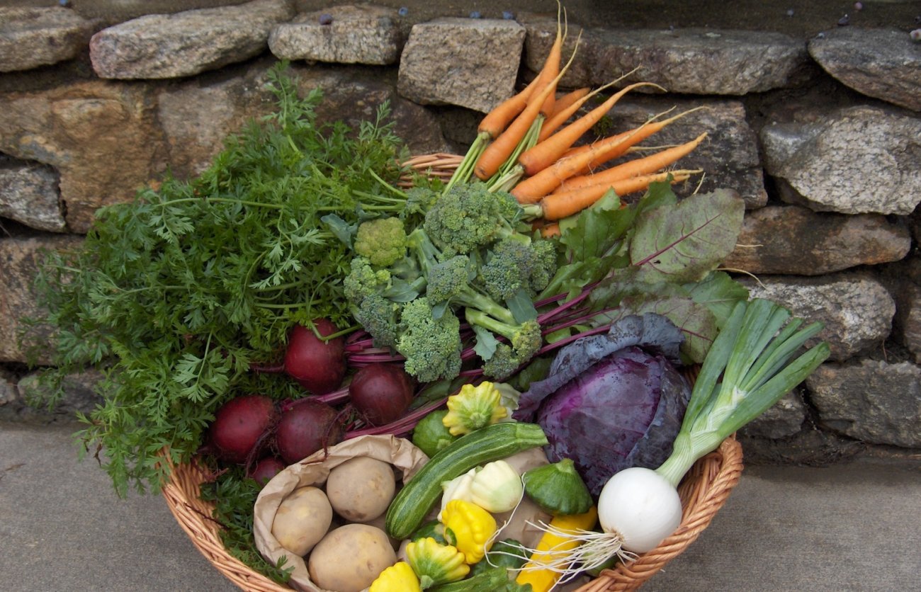 basket of local vegetables