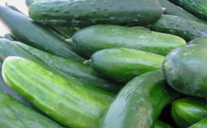 Cucumbers from Thatchmore Farm