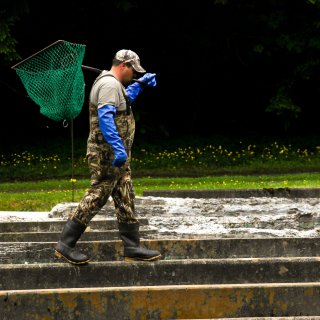 Sunburst Trout Farm