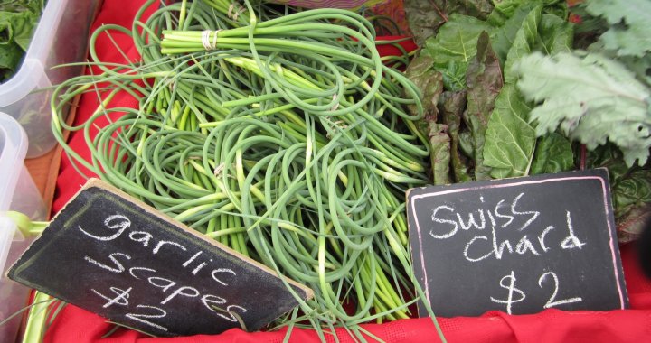 garlic scapes