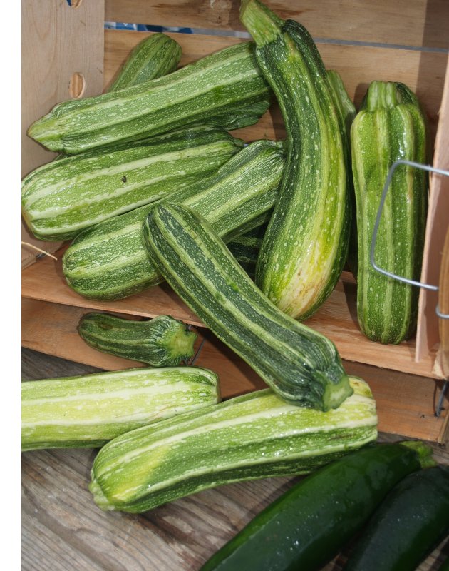 local zucchini