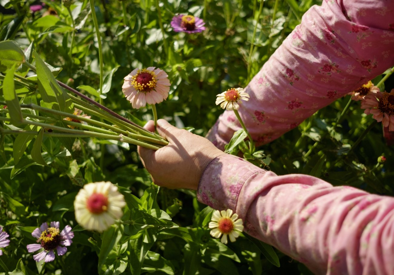 picking flowers at Bluebird Farm