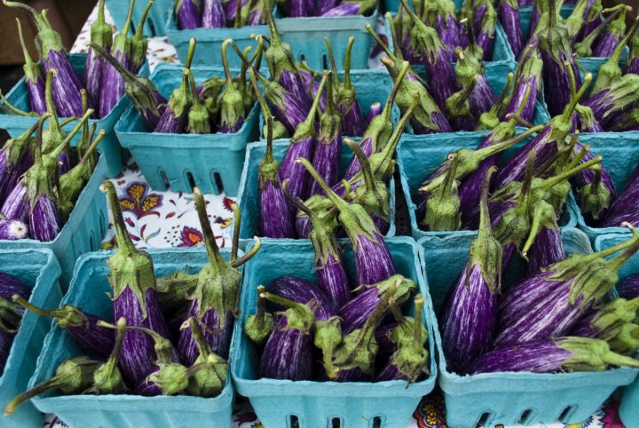 eggplant from Ten Mile Farm