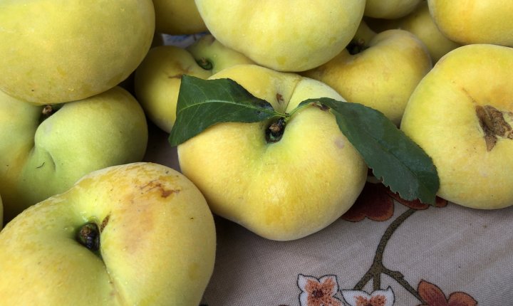 Tango peaches from Lee's One Fortune Farm