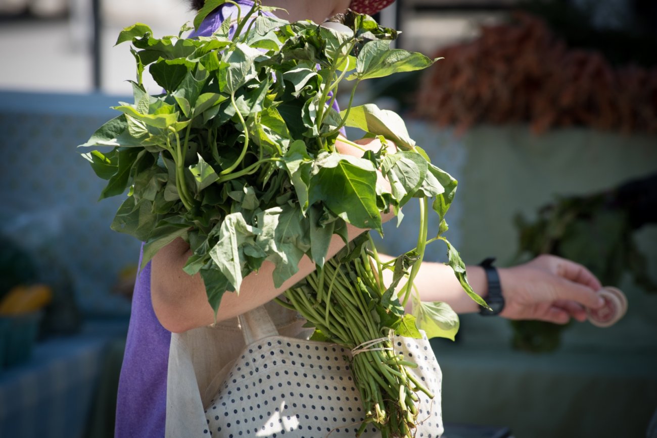 a customer pays for produce with SNAP tokens at ASAP Farmers Market