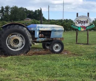 Stepp's Hillcrest Orchard