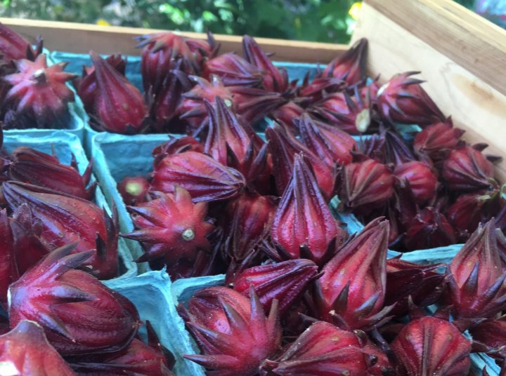 Thai roselles
