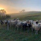 Lisa Payne and Stacy Dean in front of Growing Minds Meet Your Farmer banners at Weaverville Primary