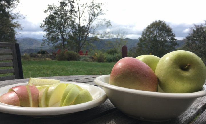 apple tasting