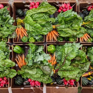 CSA from Mighty Gnome Market Garden