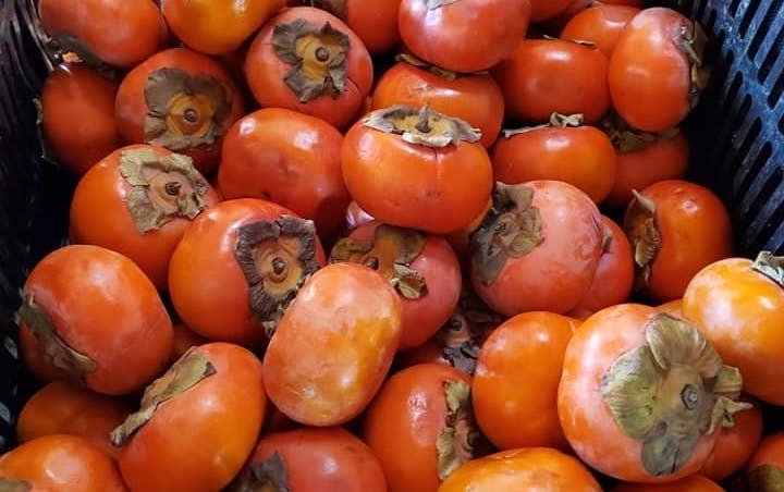 persimmons from Lee's One Fortune Farm