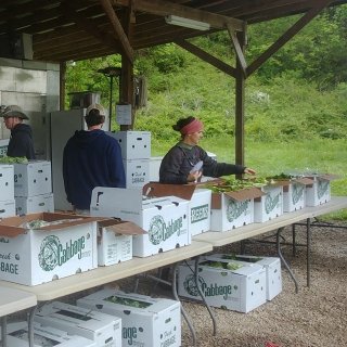 packing CSA boxes at Tumbling Shoals Farm