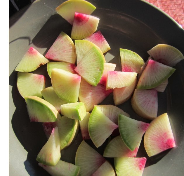 watermelon radish