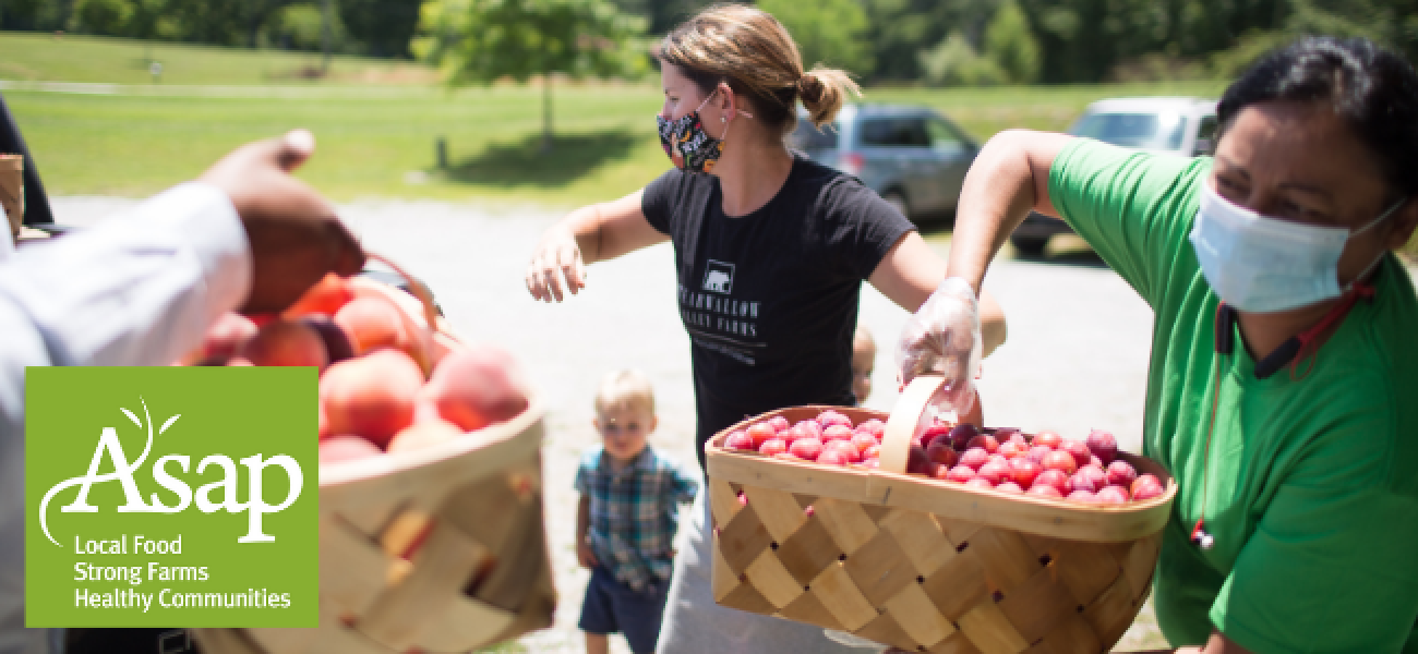 Produce from Bearwallow Valley Farms delivered to Hendersonville Spanish Church through the Appalachian Farms Feeding Families program. Photo by Colby Rabon.